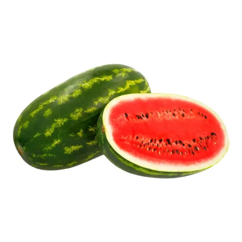 [5216] Sandia
